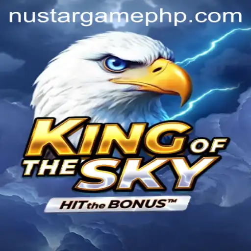 KingOfTheSky - A New Era of Virtual Aviation